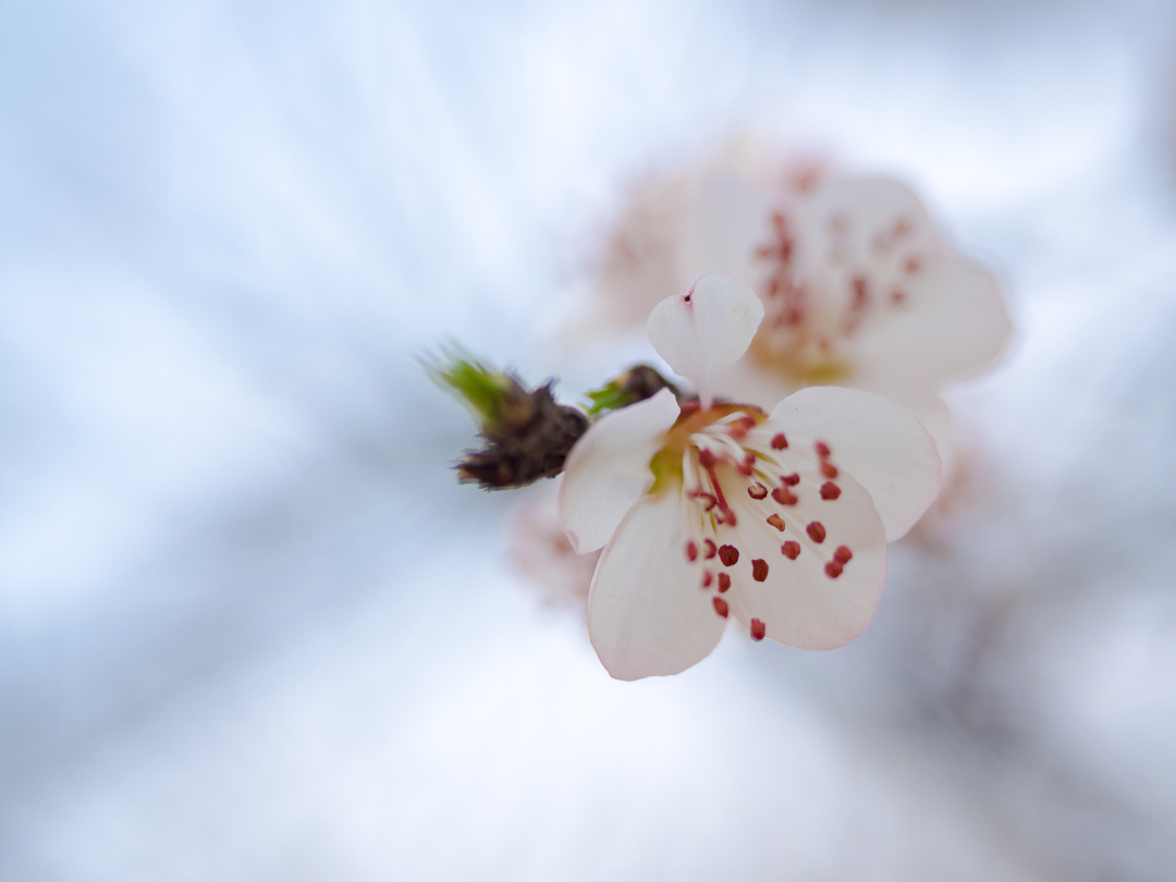 如何管理上萬(wàn)人規(guī)模的企業(yè)員工福利？