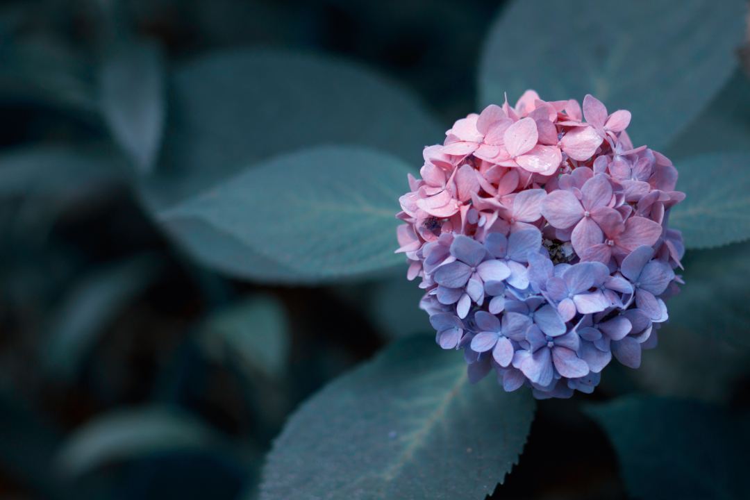 員工福利平臺：職業(yè)健康體檢要花費多少錢？