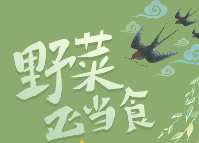 福利plus|野菜正當(dāng)“食”，當(dāng)心別采錯了！