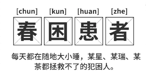 福利plus|打工人續(xù)命指南：提神零食清單+5分鐘暴汗操，一鍵領(lǐng)取！